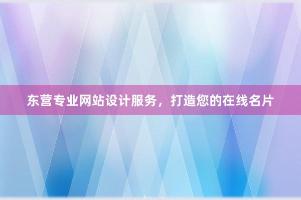 东营专业网站设计服务，打造您的在线名片